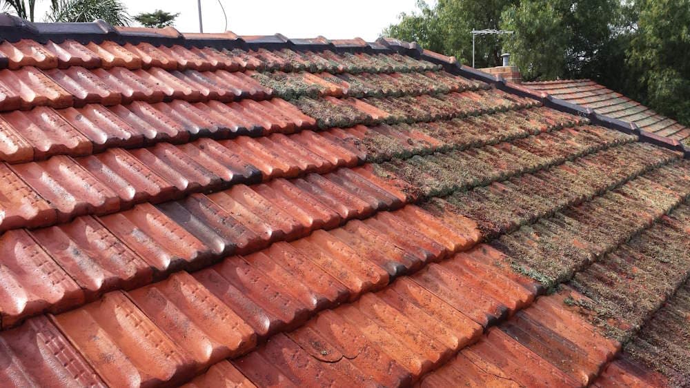 Roof Leak Repairs project 4